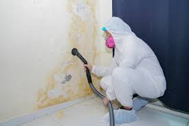 Mold Odor Removal Services in Cottage Grove, WI